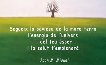 JOAN M. MIQUEL