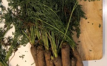 Dietista-Nutricionistaen Madrid - MÓNICA BARREAL