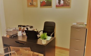 DCienciaSalud: Dietista - Nutricionista | Psicólogo en Palencia