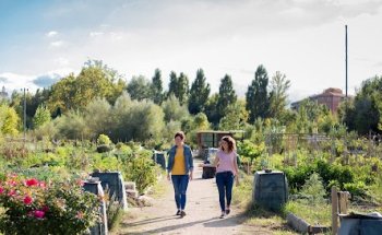 Canelalimón nutrición con sentido