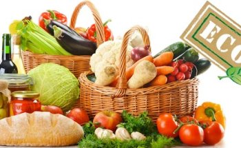 Nutricionista en Toledo. Pérdida de peso y Dietoterapia