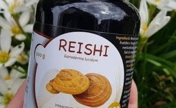 ????SALUD y BIENESTAR????