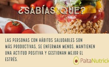 Palta Nutrición - Camila Rolón