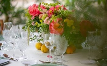 Nutrición by Paloma Sánchez