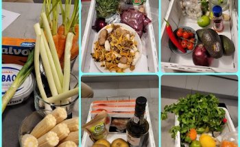 NutriSaida | Nutricionista