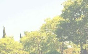 Menja sa | Dietista Nutricionista en Sabadell