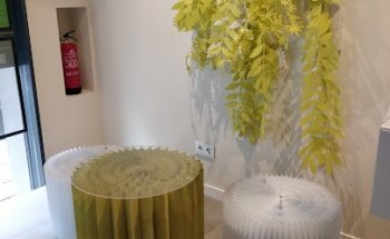 Centre Mentha Aquatica Terrassa