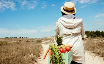 Masquealimentados. Dietista-Nutricionista y Seguridad Alimentaria
