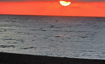 J.Mena Fitness Dieta Nutrición