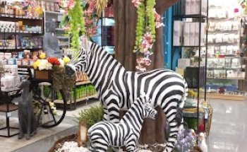 Amaranto Herbolarios Molina de segura