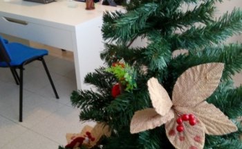 Naya Ibañez de Leon, Dietista Nutricionista