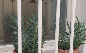 Maria Cabrera Dietista-Nutricionista