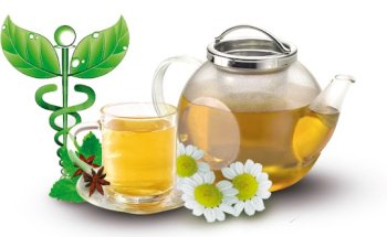 M. Rodríguez Dietetica Acupuntura