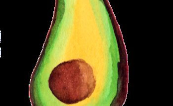 Dietista-Nutricionista Formentera