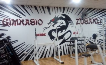 Gimnasio Zusanli