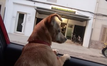 Fussion Fit Marga Seguí