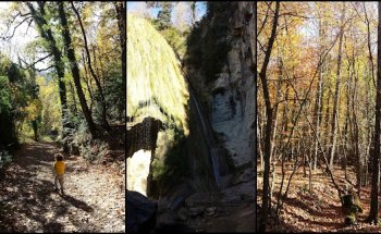 Consorci de la Vall del Ges Orís i Bisaura