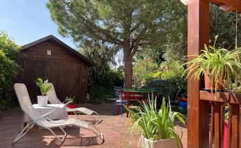 The Magic Home / Manzanares el Real