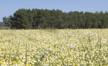 Clínica Axis Ortuella