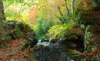 Centro de Nutrición y Bienestar IBIZA