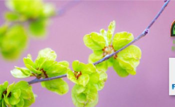 La Ventana Natural - Parafarmacia - Barajas