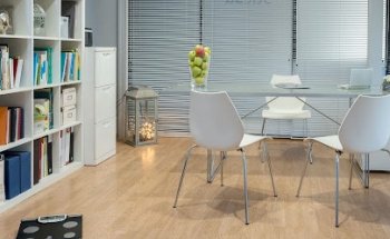 Sticsa Alimentación Nutrición y Dietética