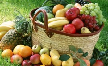 Nutricion y dietetica jose parejo