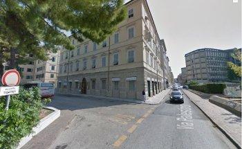 Go In srl Dr Verde Program