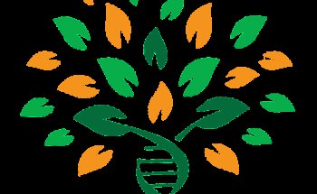 Dott.ssa Rebecca Anderson Biologa Nutrizionista