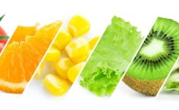 Nutrizionista Stefania Conti