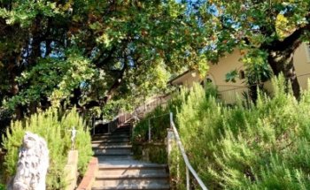 Dott. Nico Donati, Dietista