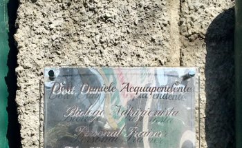 Dott. Daniele Acquapendente - Biologo Nutrizionista & Personal Trainer