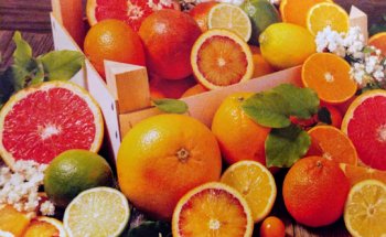 Sanna Dott.ssa Antonella Dietista – Nutrizionista