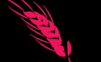 Dr. Pier Paolo Palmieri