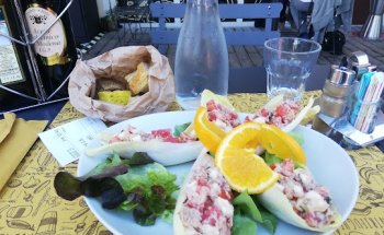 Dietista Dott Claudia Macchi