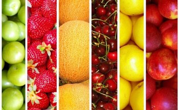 Valeria Sorbara Nutrizionista Modena