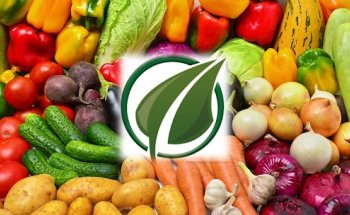 dott.ssa Emanuela Troncone Nutrizionista