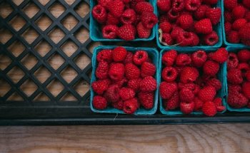 Biologa Nutrizionista Parma - Dott.ssa Serena Ravasini