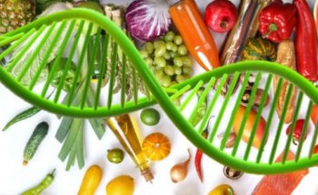 Dott.ssa Anna Squadrilli, Nutrizionista