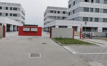 Dott. Marco De Ruvo (Biologo Nutrizionista - Personal Trainer)