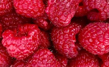 Dott.ssa Greta Bonazzi Dietista - Biologa Nutrizionista