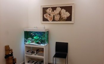 Tolentino Dr. Francesco Paolo