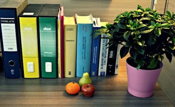 Centro di Dietologia e Nutrizione