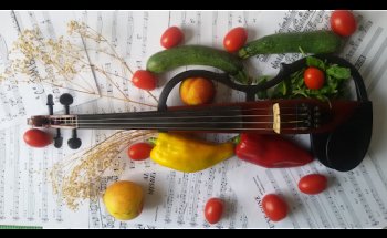 Dott.ssa Nutrizionista Cristina Romagni