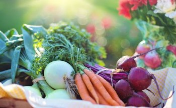 Dott.ssa Alessia Zaccarelli biologa nutrizionista