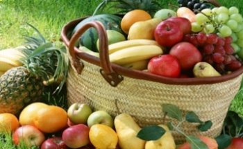 Vicentini Dott.ssa Lucia Biologa Nutrizionista Verona