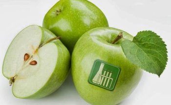 Dott.ssa Di Salvo Antonina Nutrizione e Intolleranze Alimentari