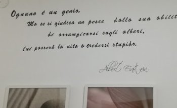 Nutrico-Studio di nutrizione e tricologia