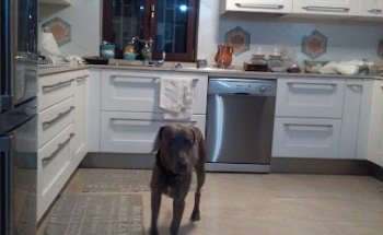 Nutrizionista Caserta - Dott.ssa Giovanna Corona