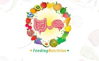 FeedingNutrition Francesco Russo